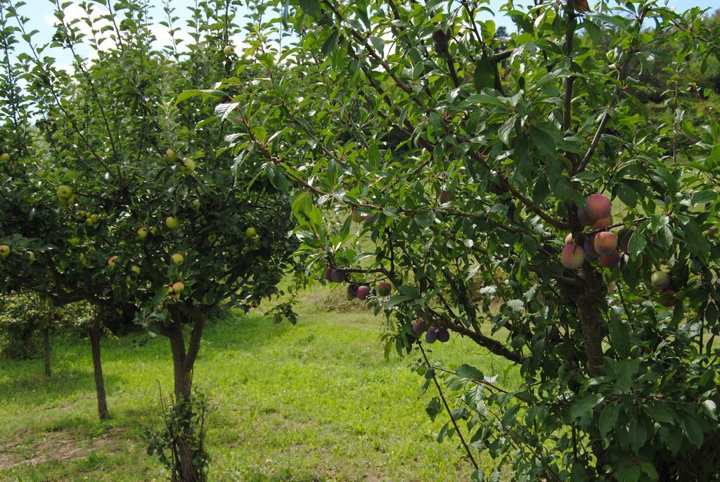 La Chiusuraccia Villa Barberino di Mugello Luaran gambar